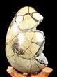 Septarian Dragon Egg Geode - Yellow Calcite #37126-4